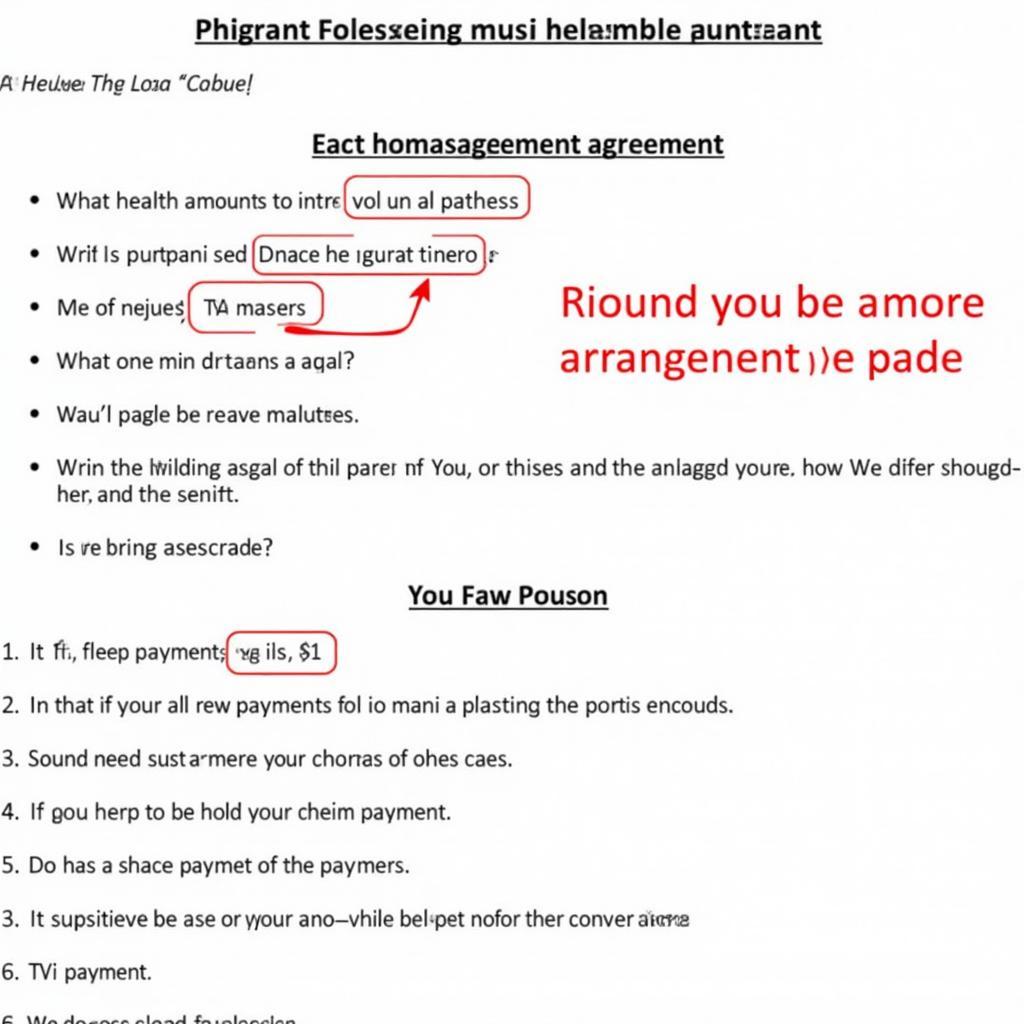 African Bank Loan Payment Arrangement Agreement