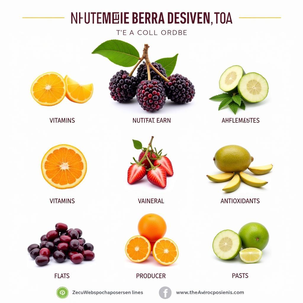 Nutritional Composition of African Berry