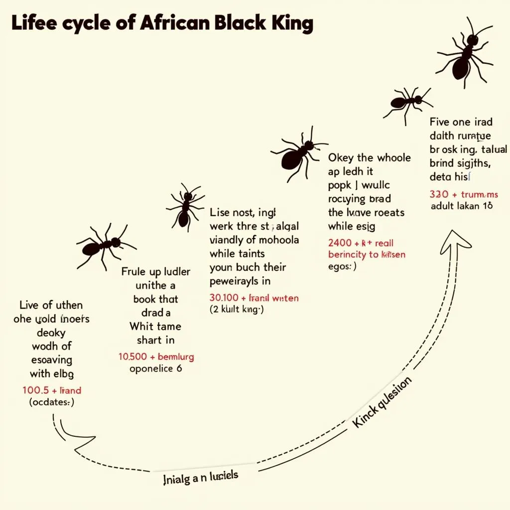 Life Cycle of an African Black Ant King