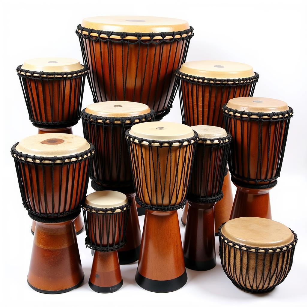 Variety of African Drums