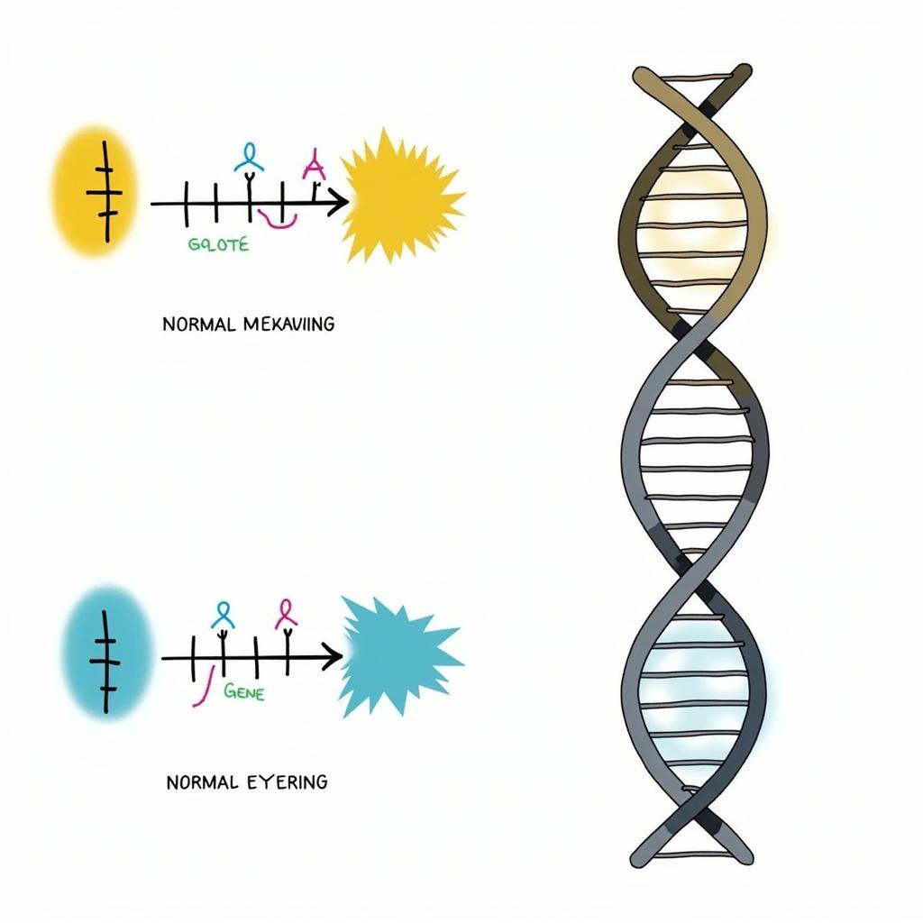 African Eyering Mutation Genetics: Illustration of the genetic mechanisms responsible for the eyering trait in African birds.