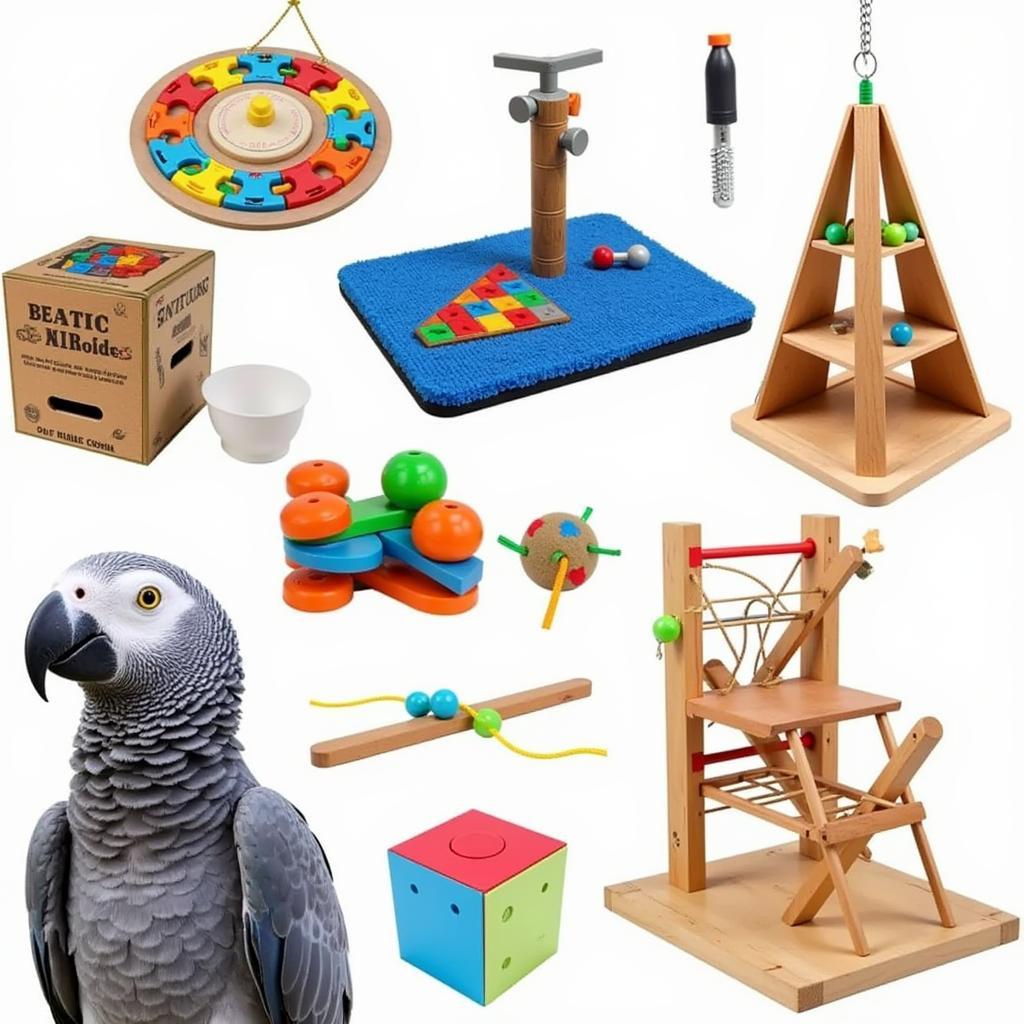 Enrichment Toys for African Grey Parrots