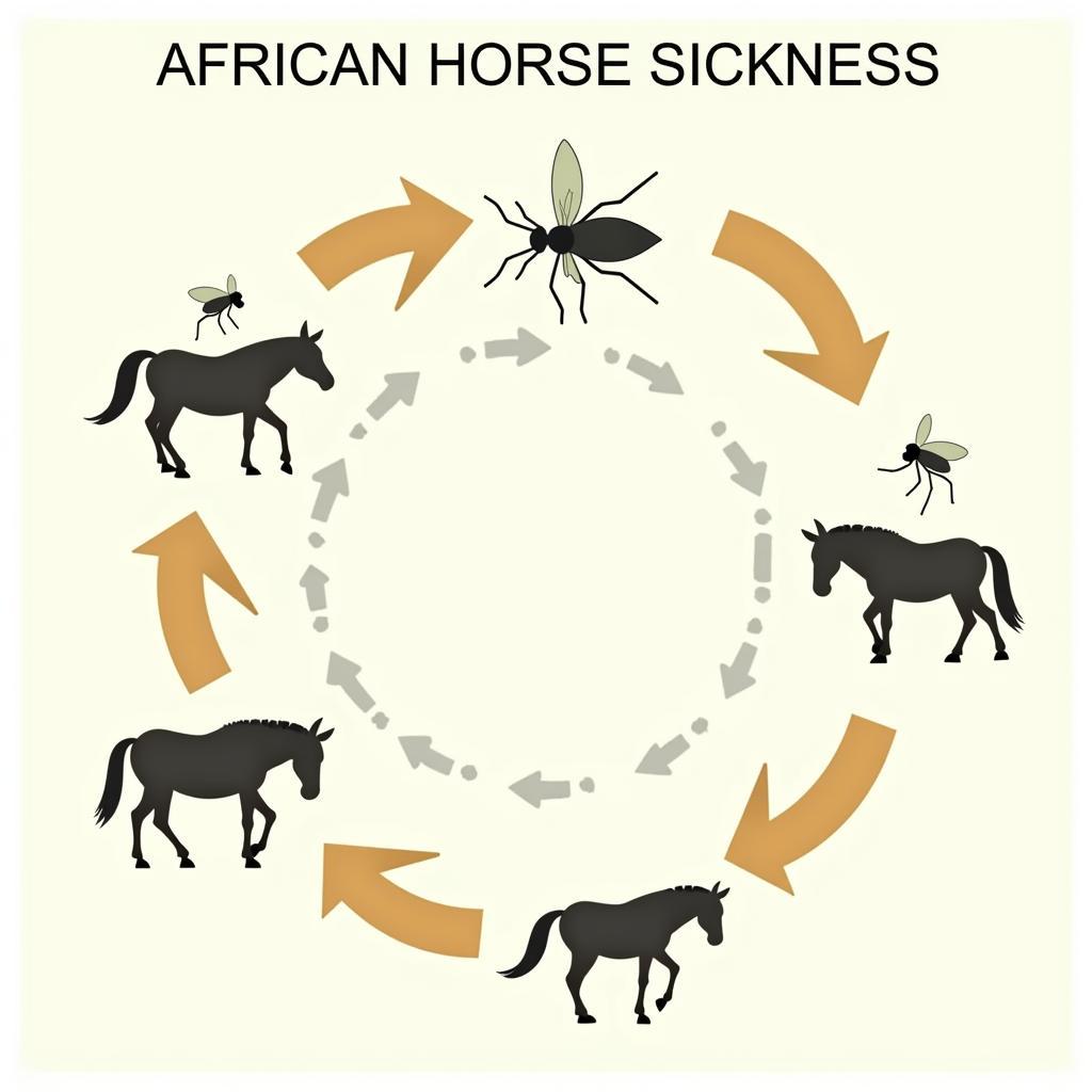 African Horse Sickness Transmission Cycle