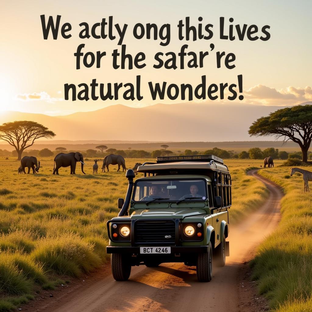 Adventure and discovery in Africa