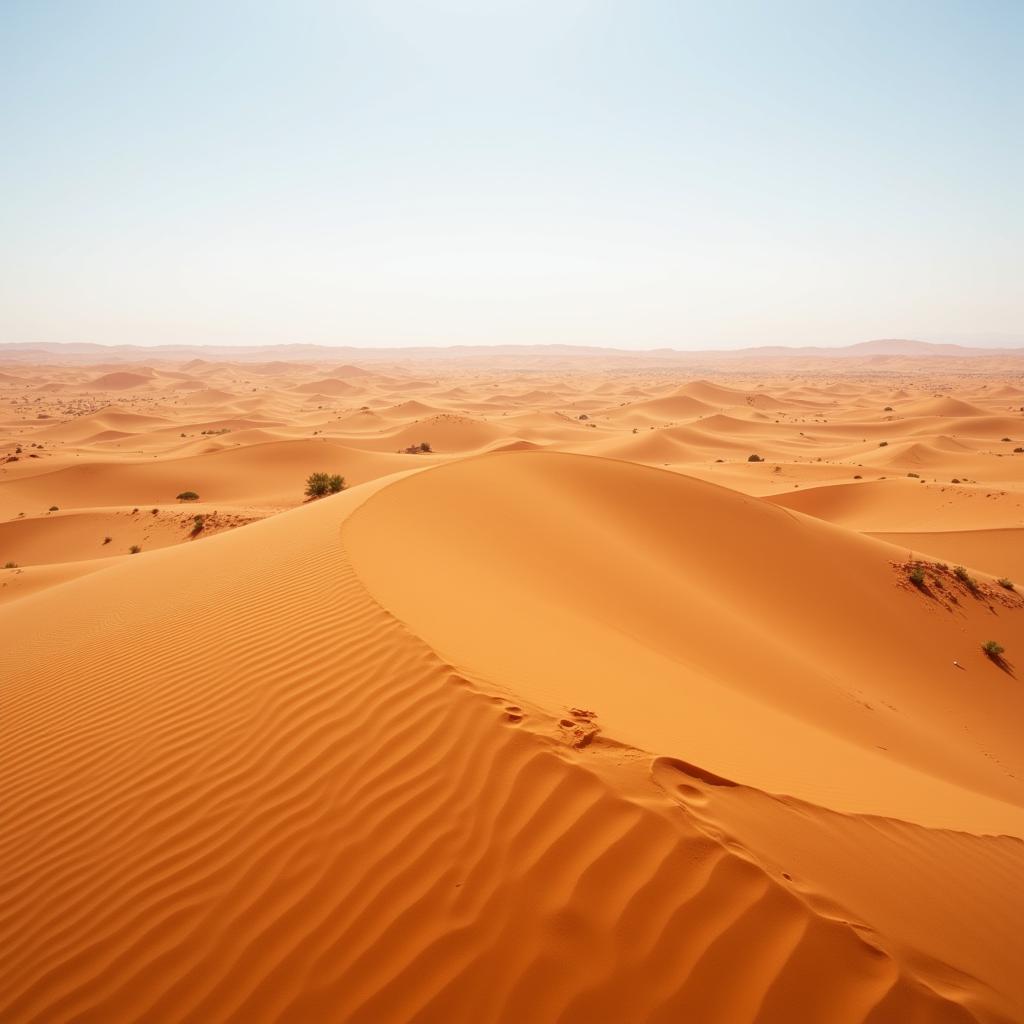 Vast Dunes of the Sahara Desert in Algeria