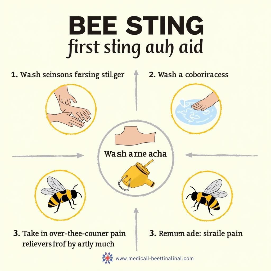 Bee Sting First Aid