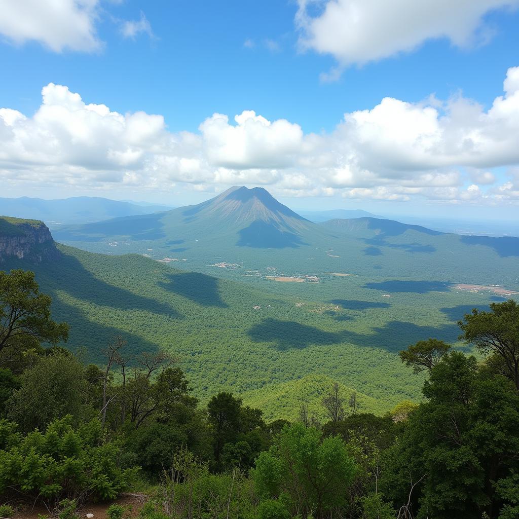 Cameroon's Diverse Landscapes