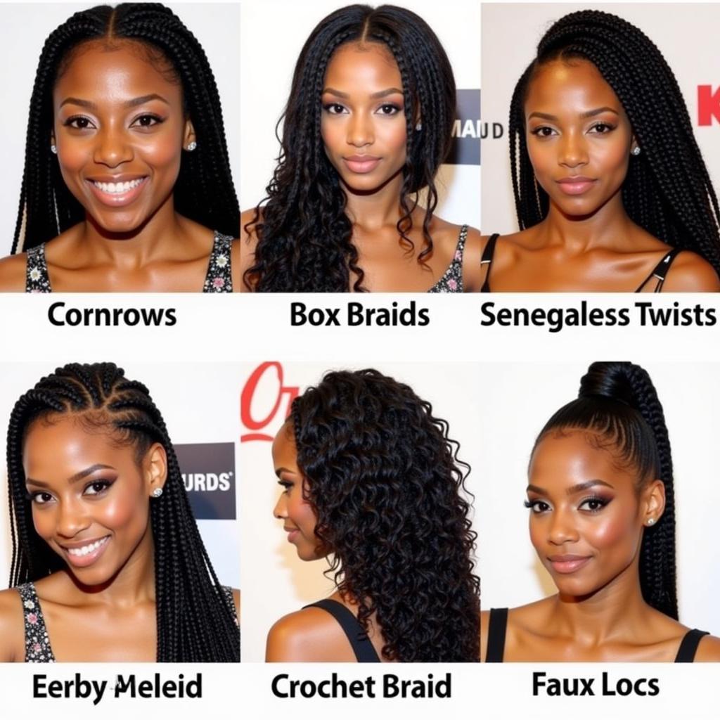 Variety of African Braid Styles in 2014