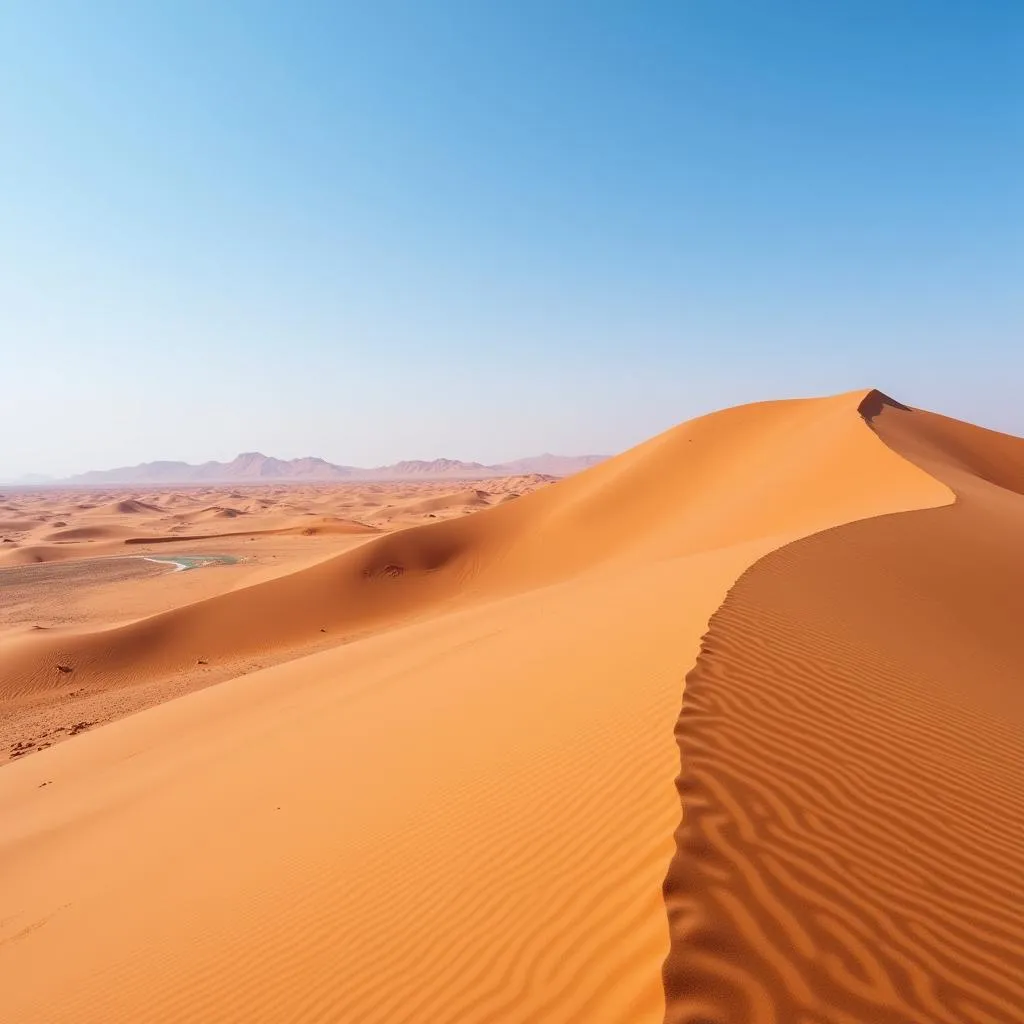 A vast expanse of sand dunes and blue sky in the Sahara Desert.