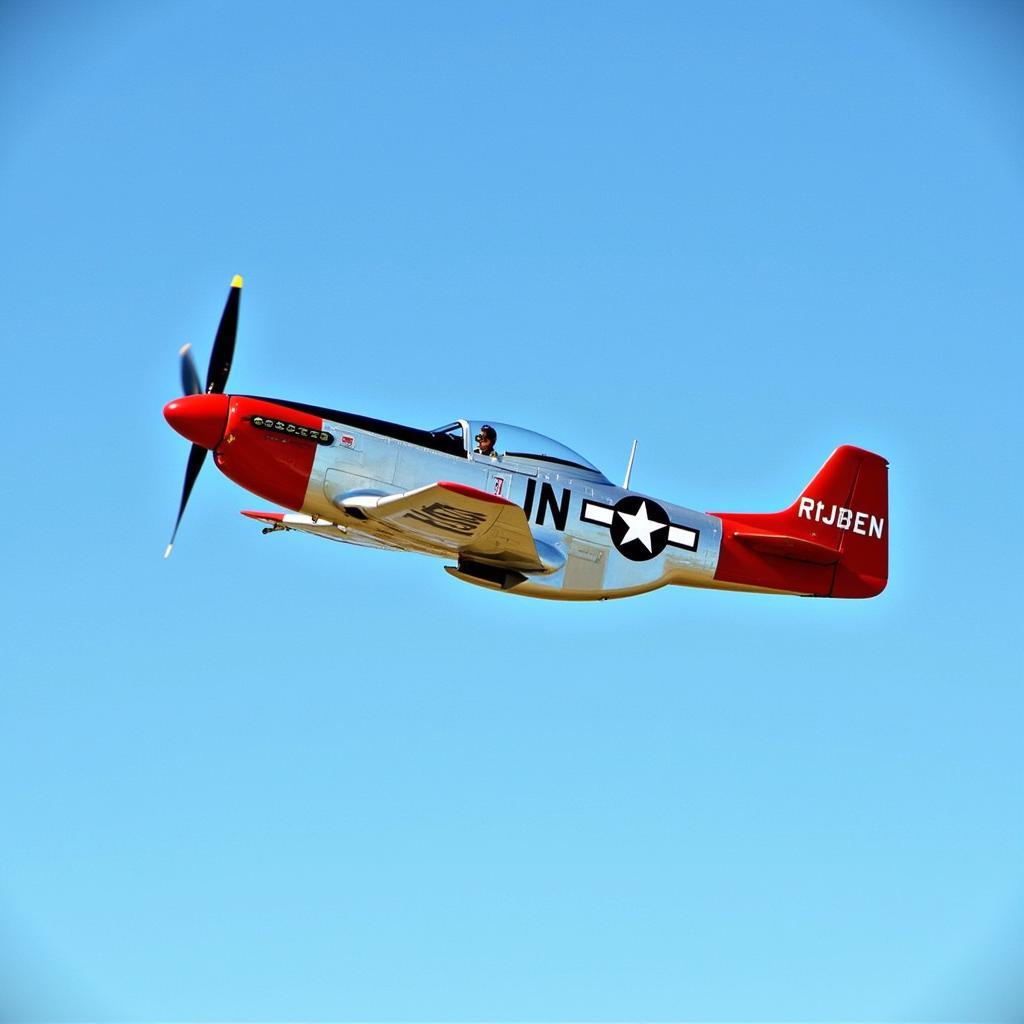 Tuskegee Airmen and their P-51 Mustang