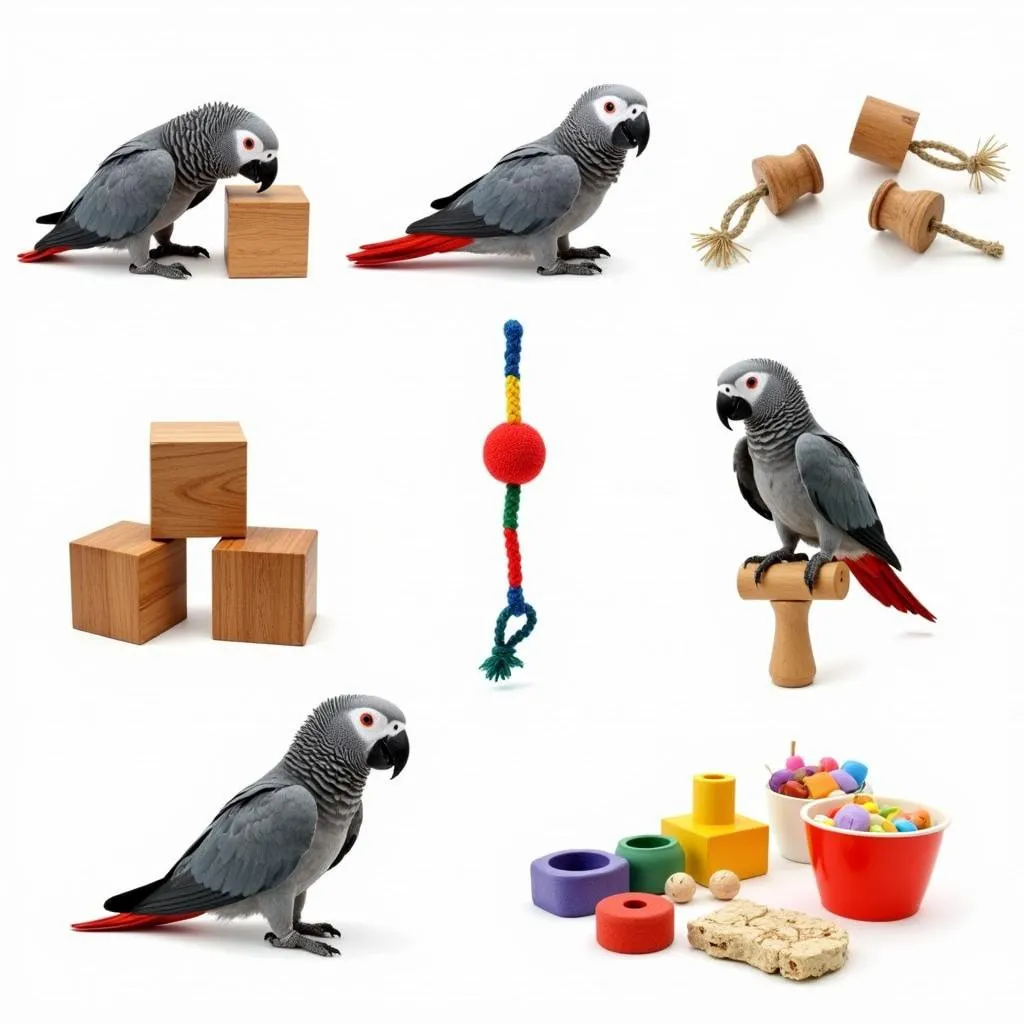 Different Types of Parrot Toys