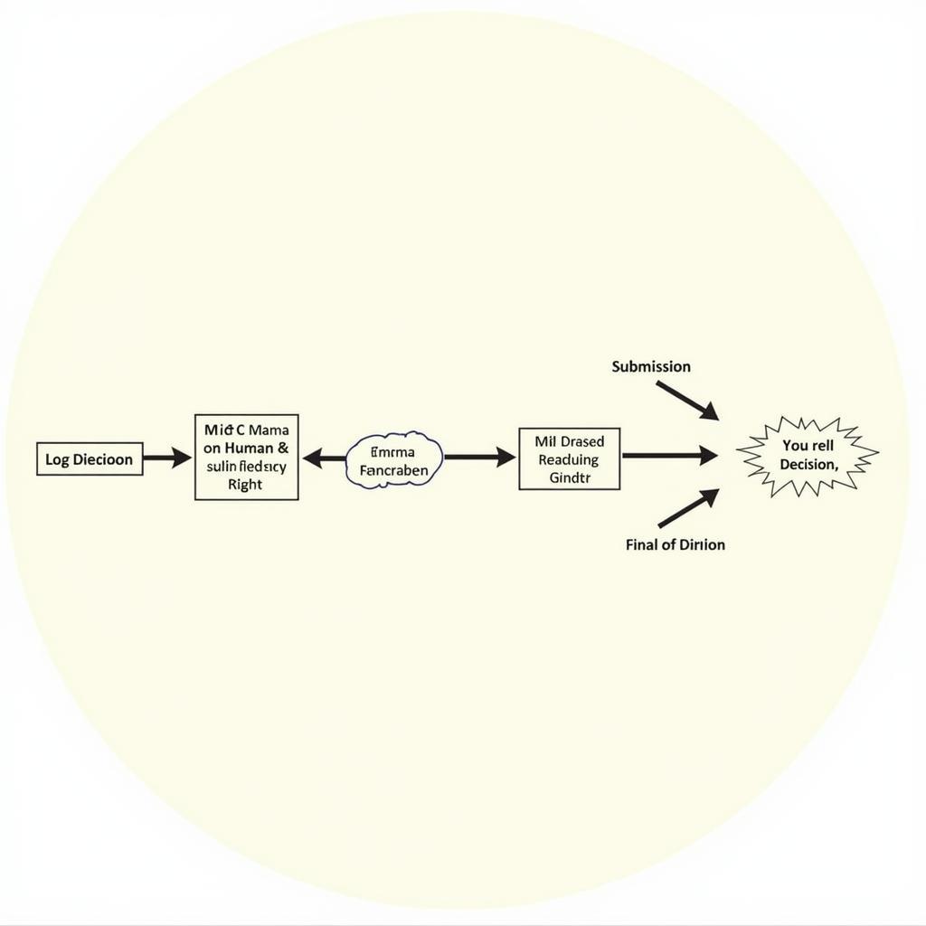 African Commission Complaint Process