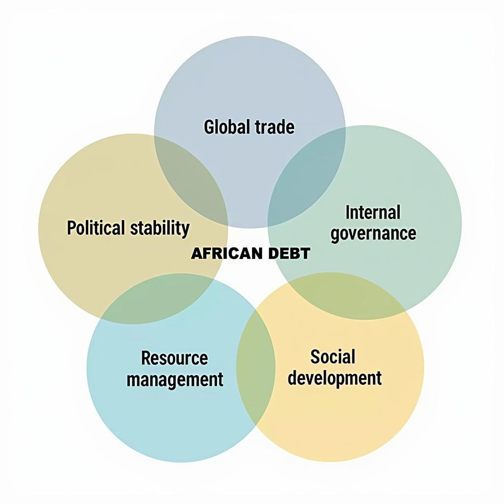 A Holistic Perspective on African Debt