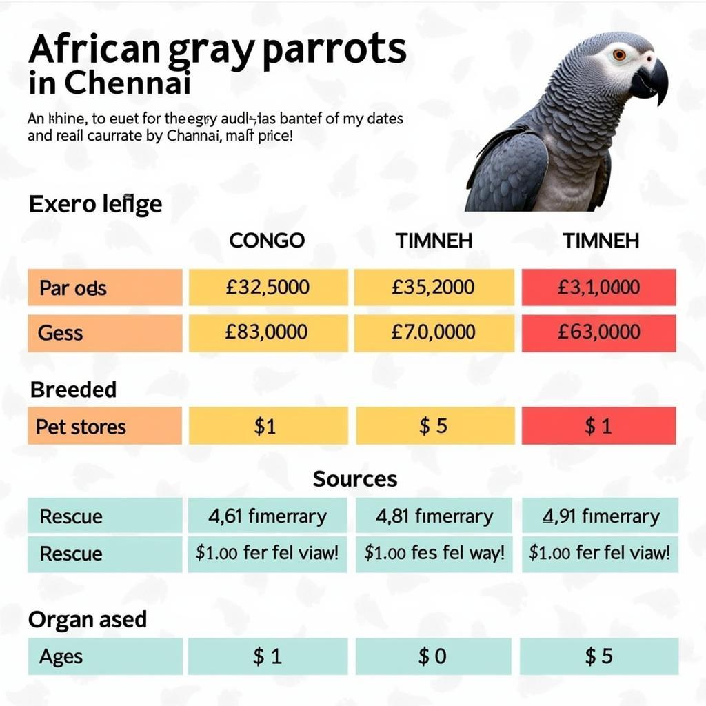 African Gray Parrot Price Comparison in Chennai