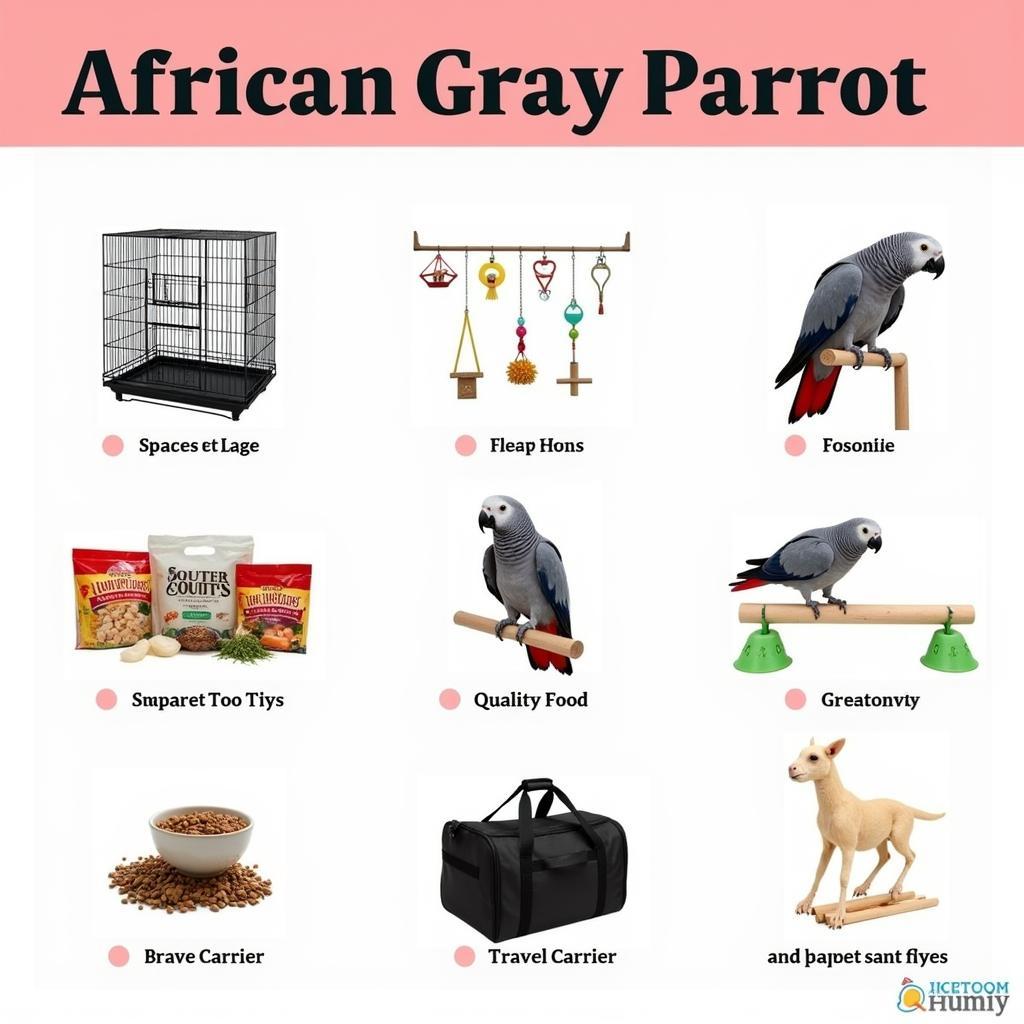 Factors-Contributing-to-African-Gray-Parrot-Long-Term-Costs