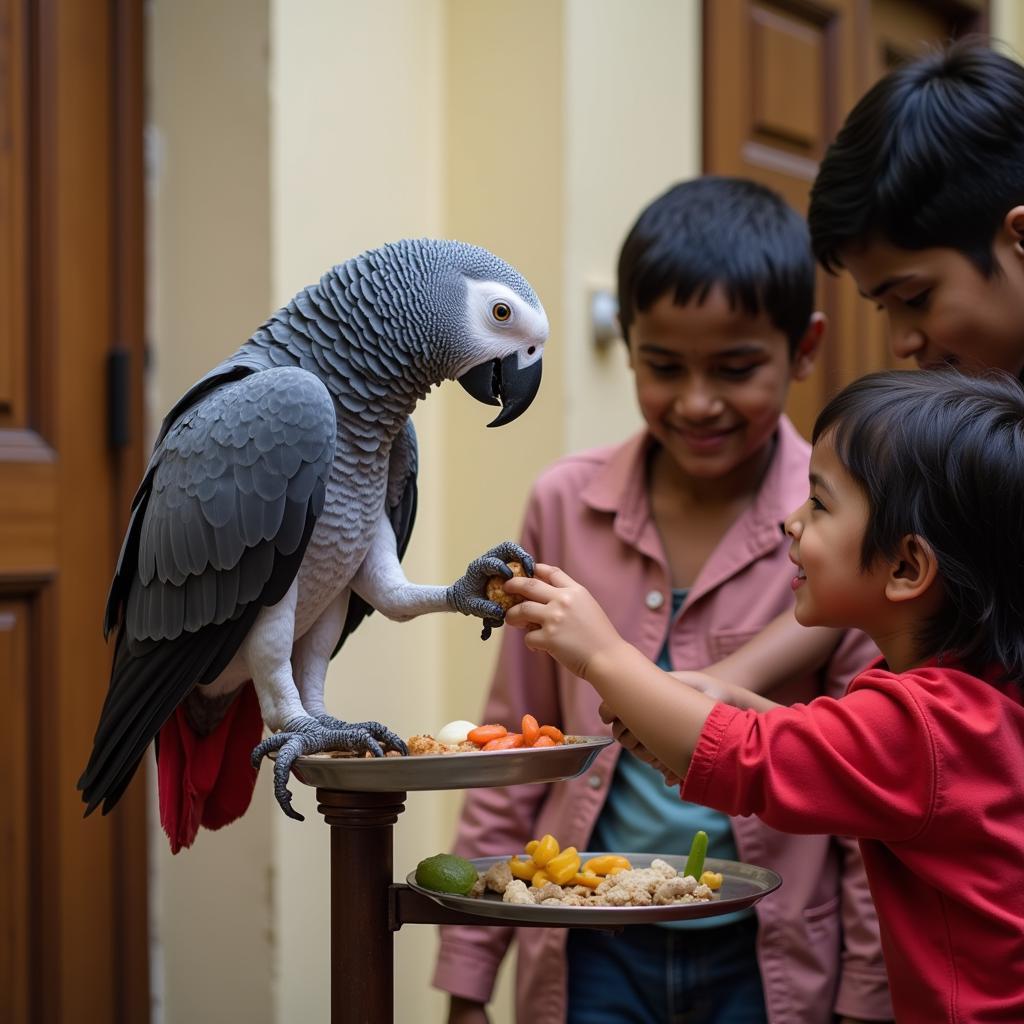 African Grey Parrot with Family in Kolkata