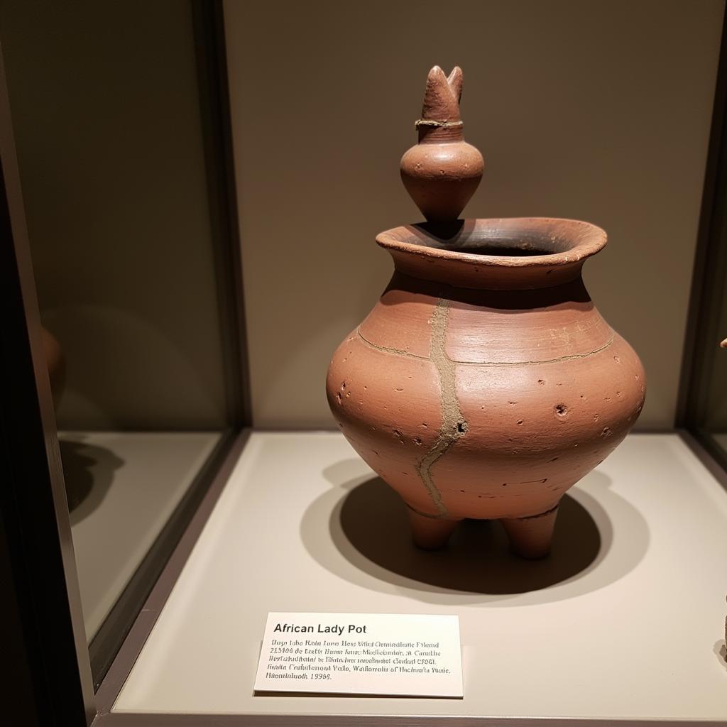 African Lady Pot in a Museum Collection