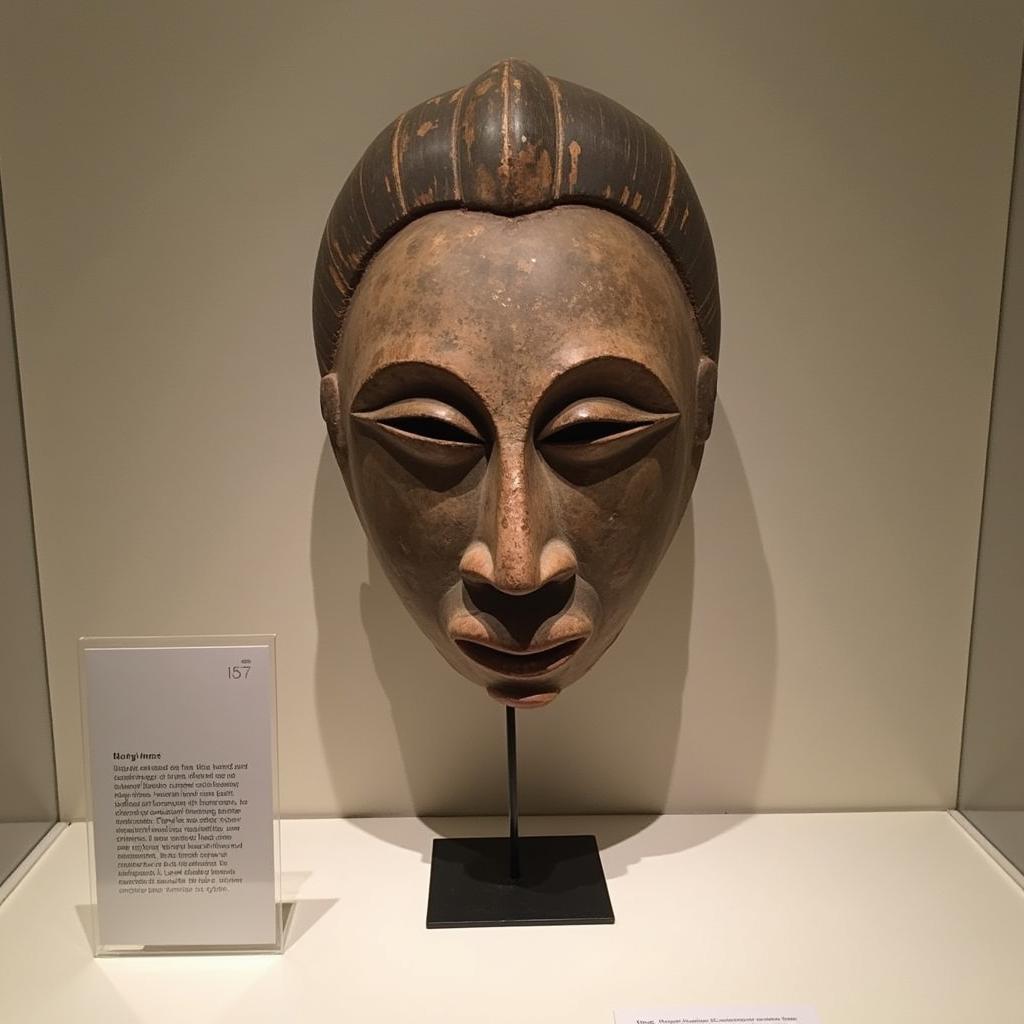 African Mask in Museum Display