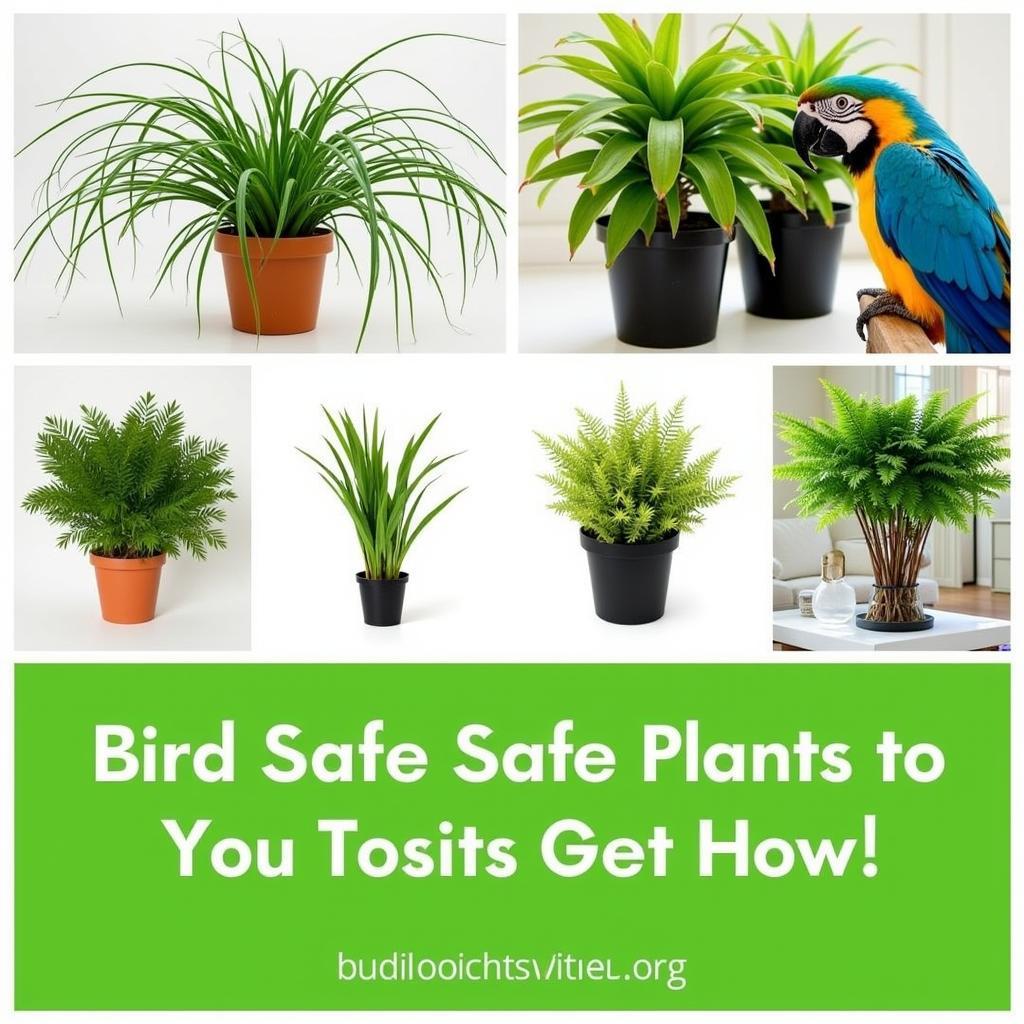 Bird-Safe Plants for Parrots