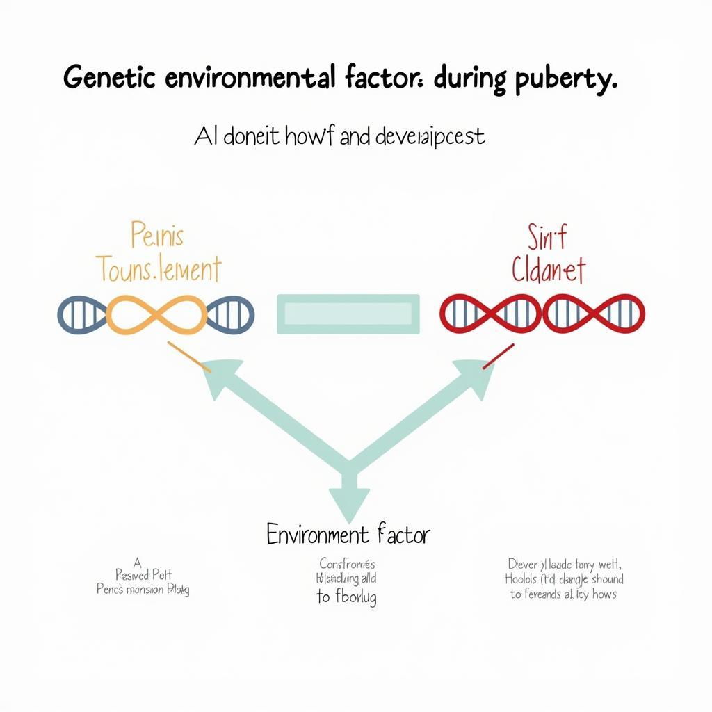 How Genes and Environment Affect Penis Size