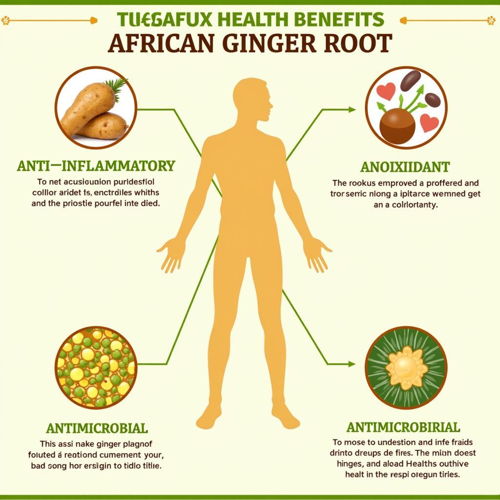 Health Benefits of African Ginger Root