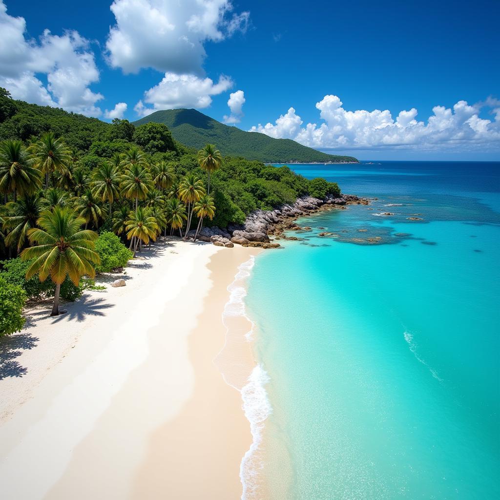 Seychelles Beach with Turquoise Water