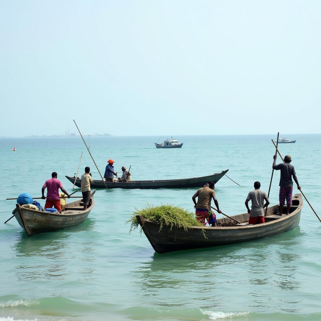 Somali fishermen using traditional boats showcasing the importance of fishing to the local economy.