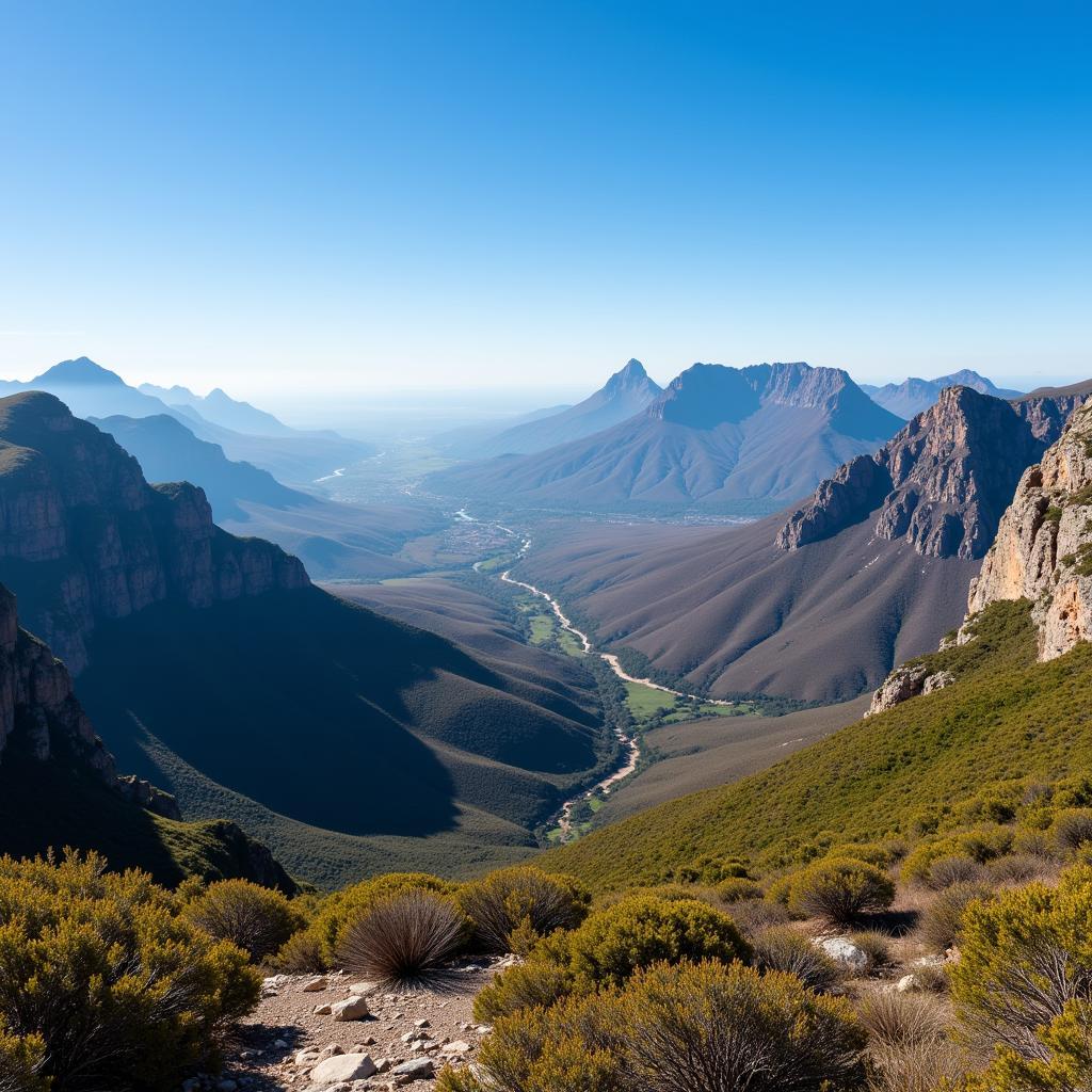 South Africa's Diverse Landscapes