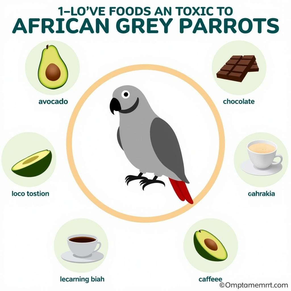 Toxic Foods for African Grey Parrots