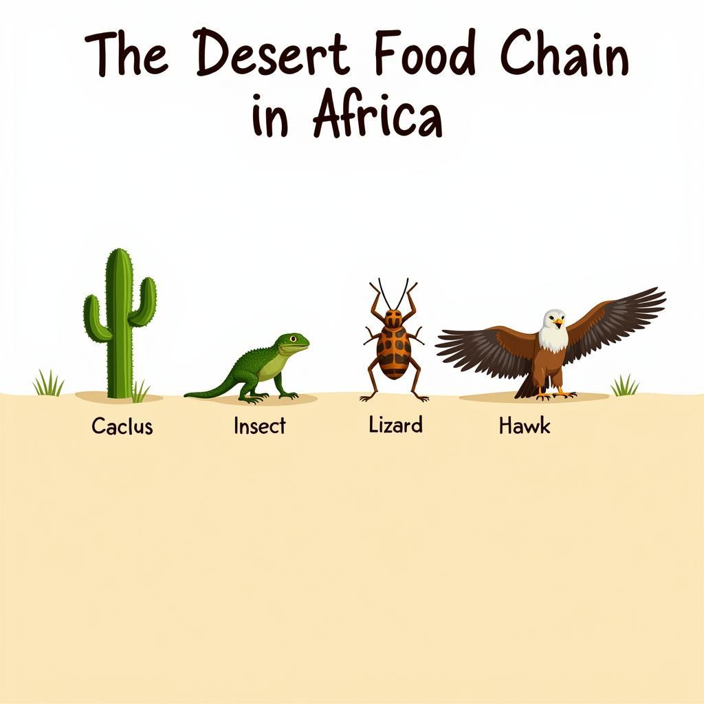 African Desert Food Chain Illustration