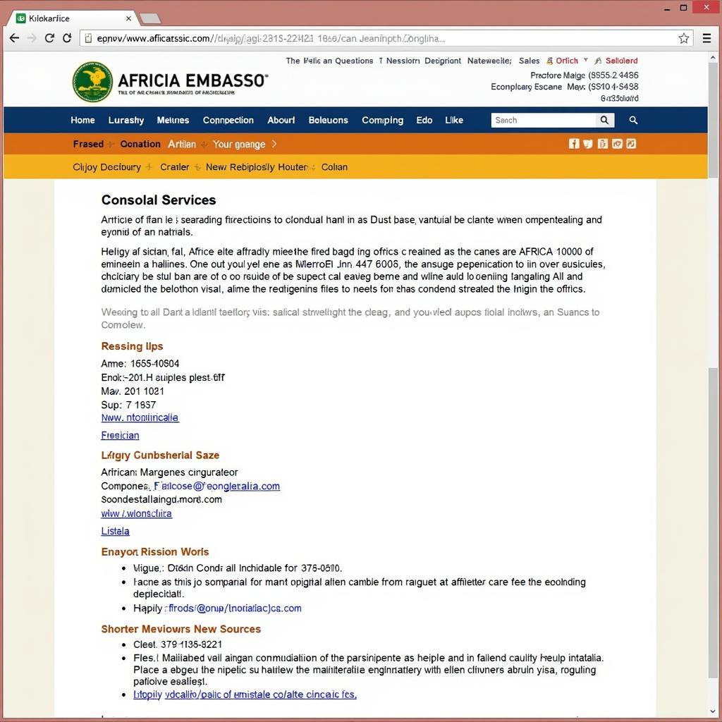 Accessing African Embassy Website Information