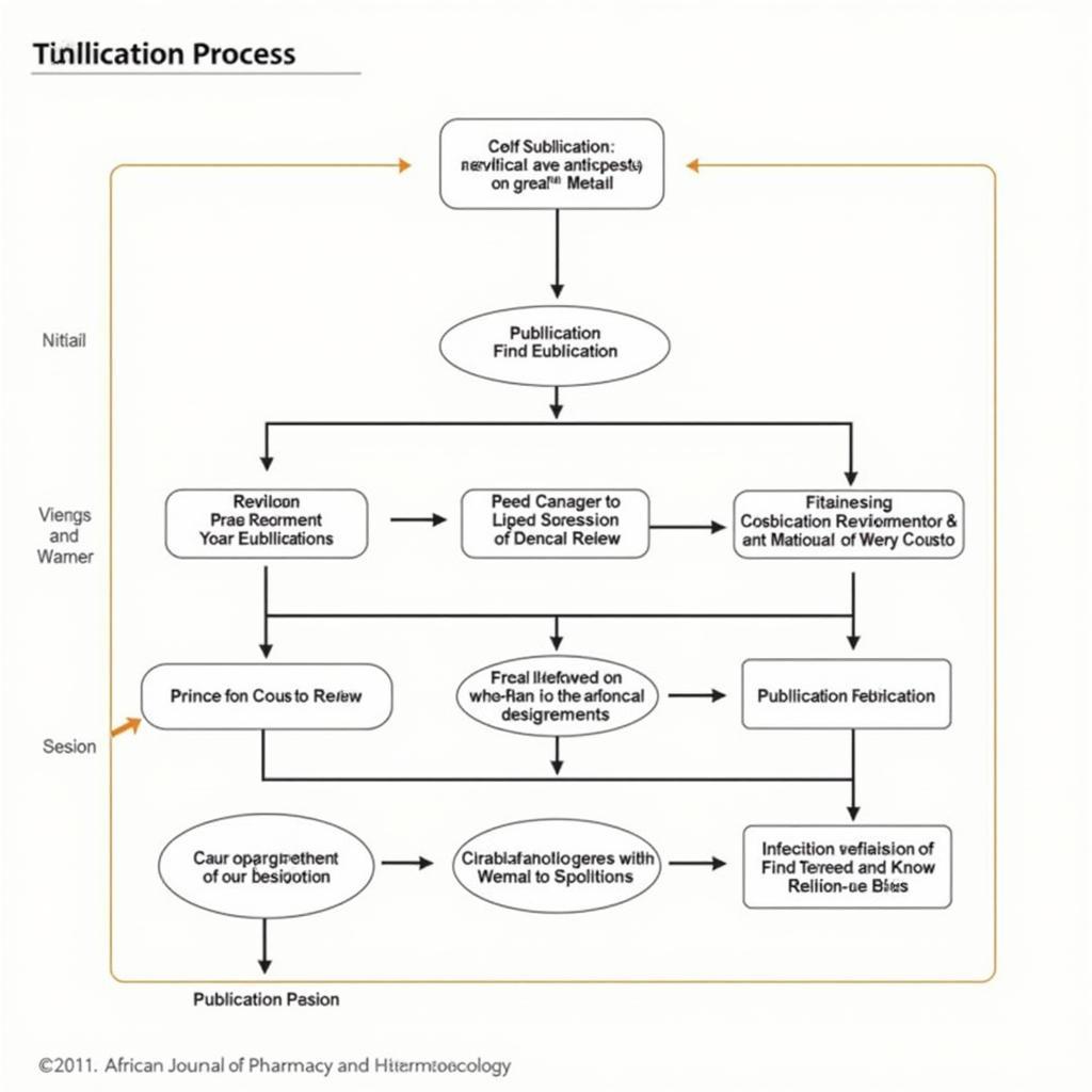 Navigating the African Journal Publication Process