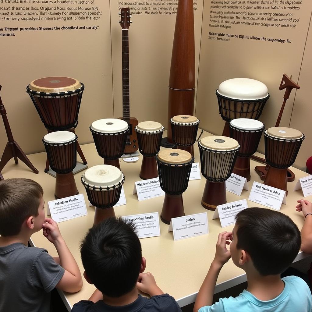 African musical instruments display