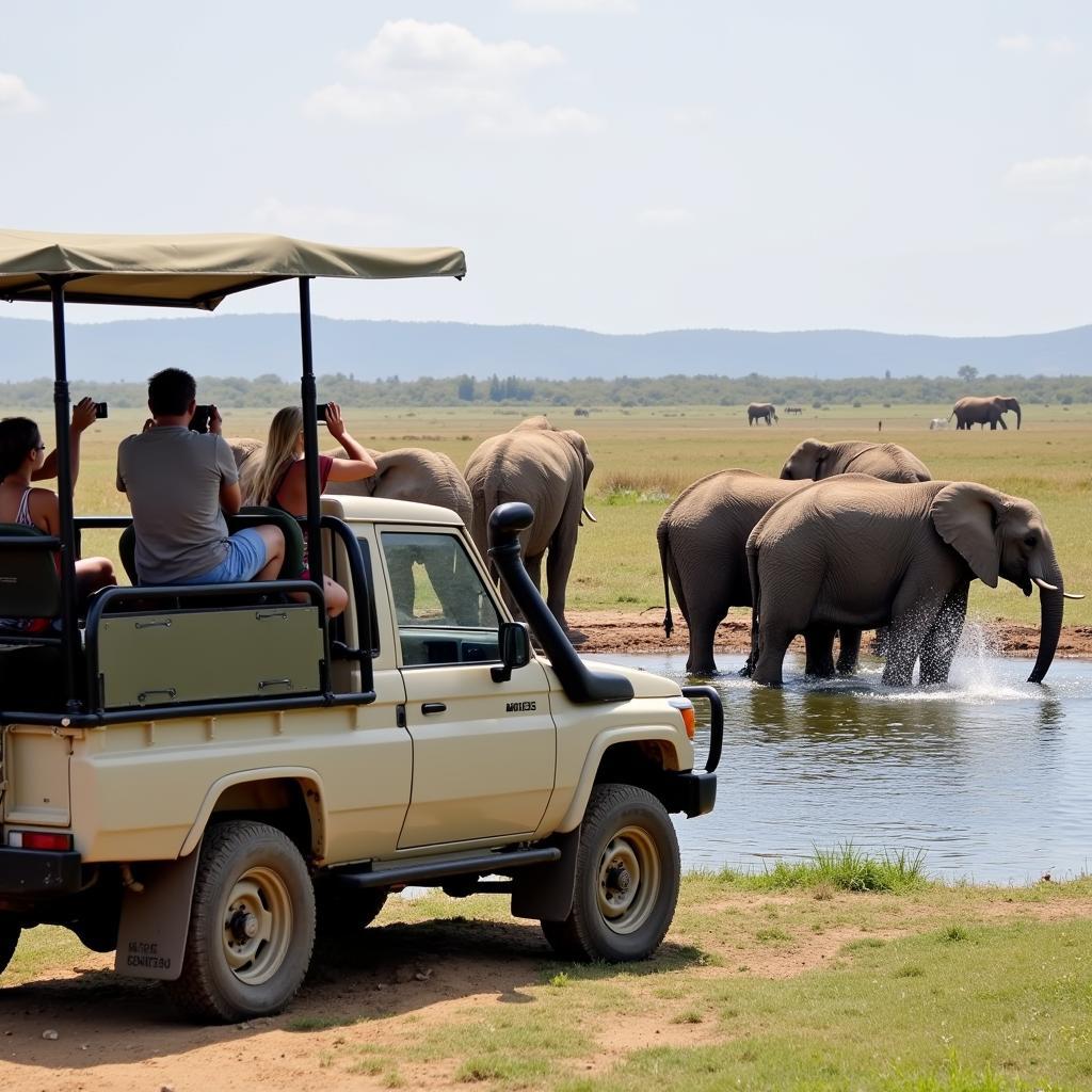 Wildlife Encounters on an African Safari