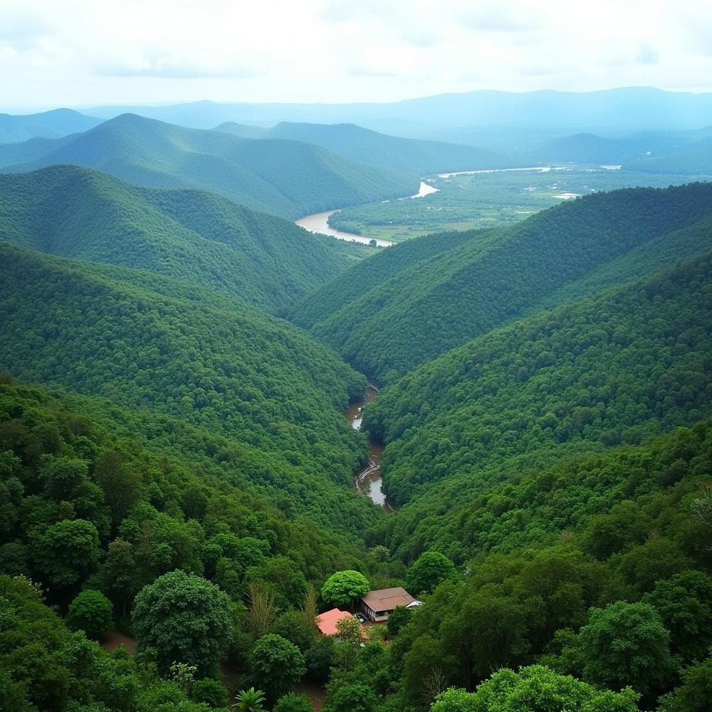 Vast Landscape of the Democratic Republic of Congo